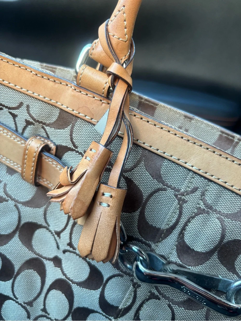 Vintage Fall Coach Signature Hampton Canvas Tote Bag